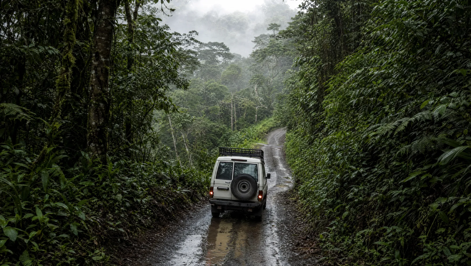 A white 4x4 on a wet dirt road through rainforest.